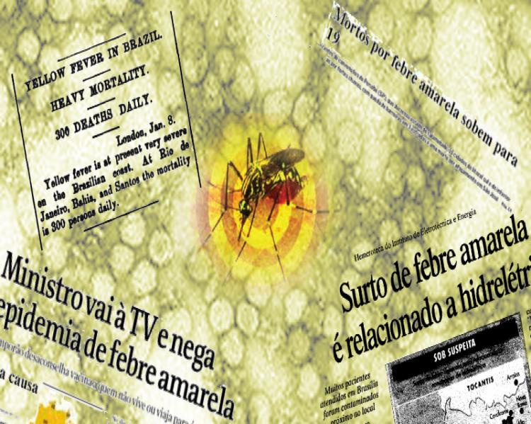 febre amarela