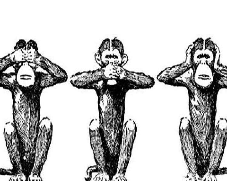 macacos 1