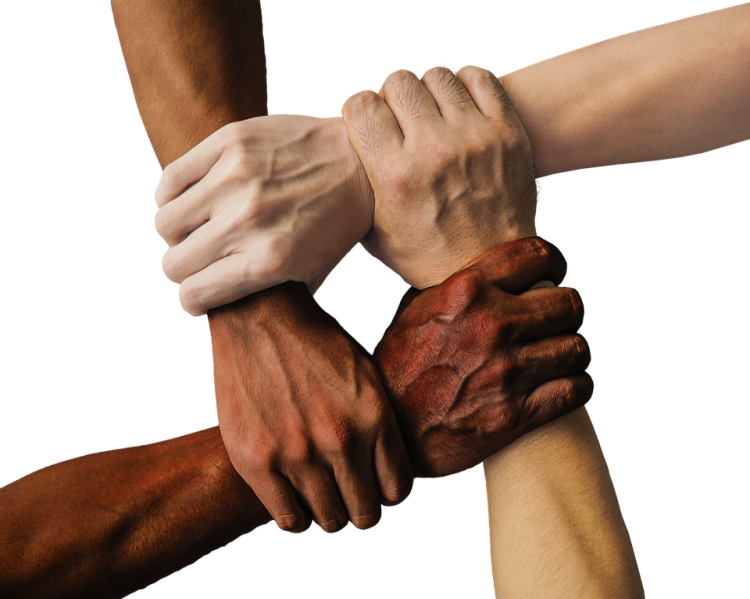 mãos e punhos_pixabay