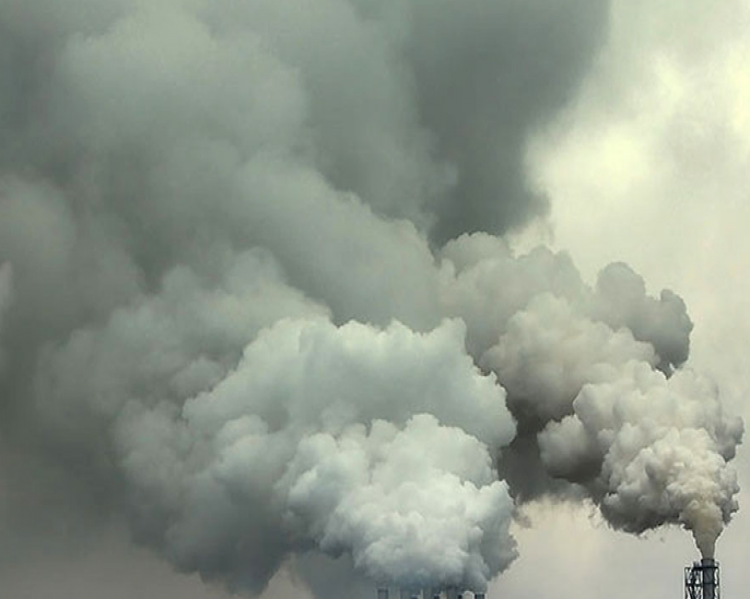 cop 24 3