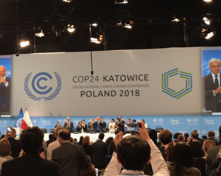 cop 24 4