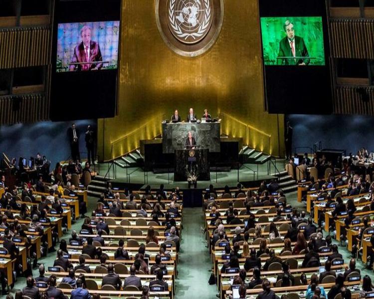 Plenária com fileiras de cadeiras onde pessoas estão sentadas, voltadas para uma mesa sobre o palco