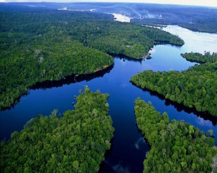 Amazonia pixabay