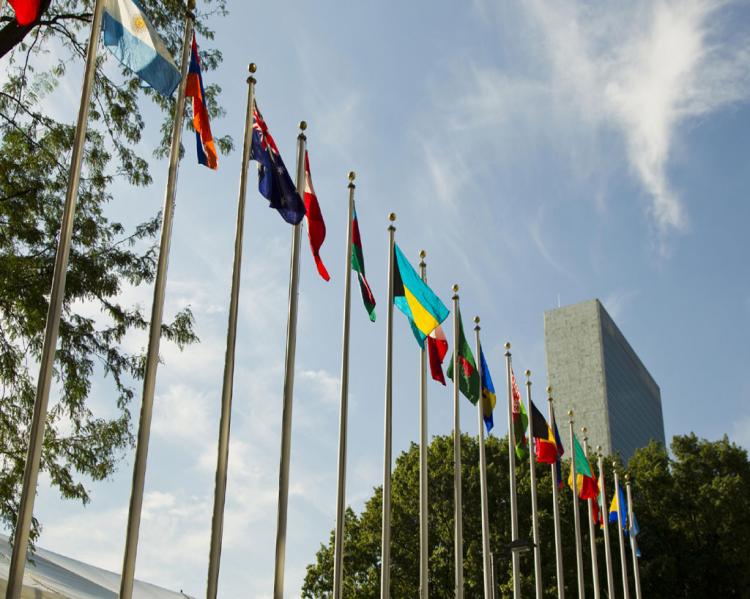 Bandeiras de países-membros das Nações Unidas a céu aberto