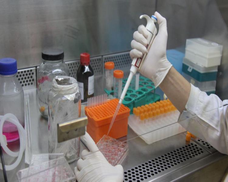 Mãos com luvas brancas manuseiam utensílios de laboratório