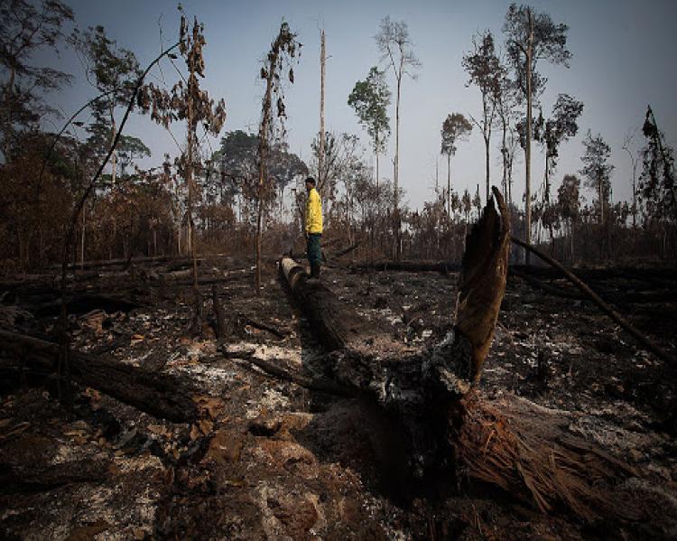 Foto: Bruno Kelly - Amazônia Real
