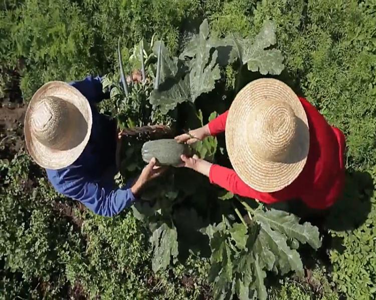 Foto: Articulação Nacional de Agroecologia