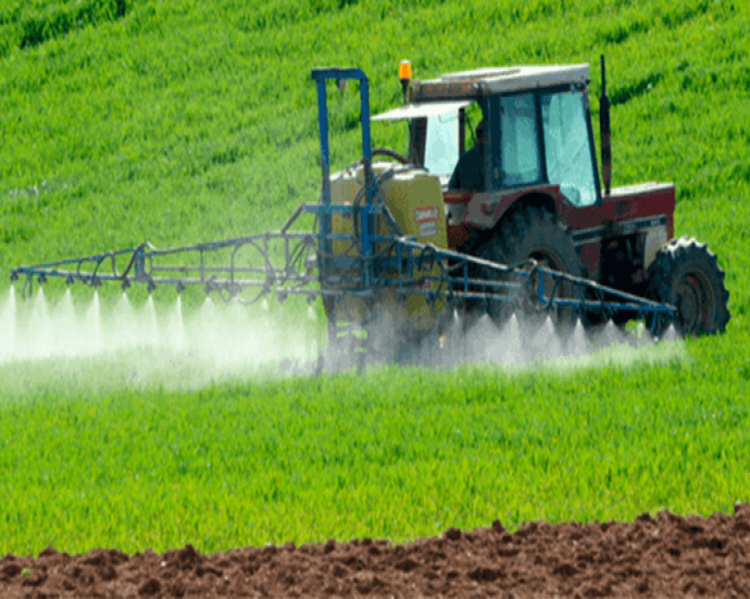 Agrotoxicos_interna