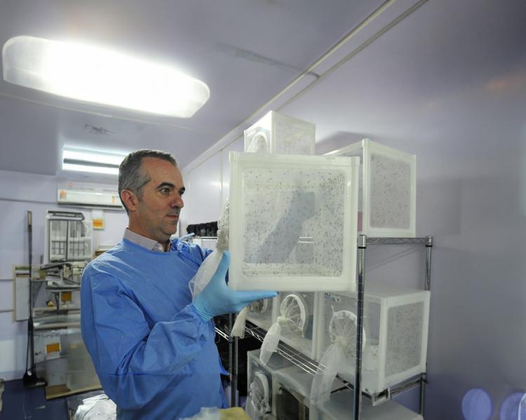 Luciano Moreira
