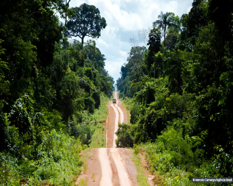 Amazônia-degradação-afeta-área-três-vezes-maior-que-desmatamento-Agência-Brasil